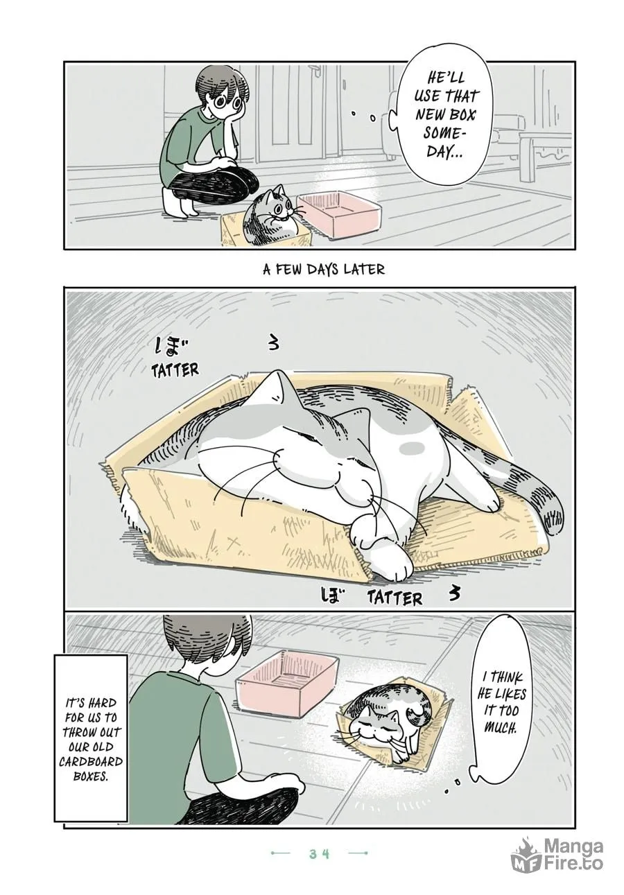 Nights With a Cat Chapter 26 page 12 - 