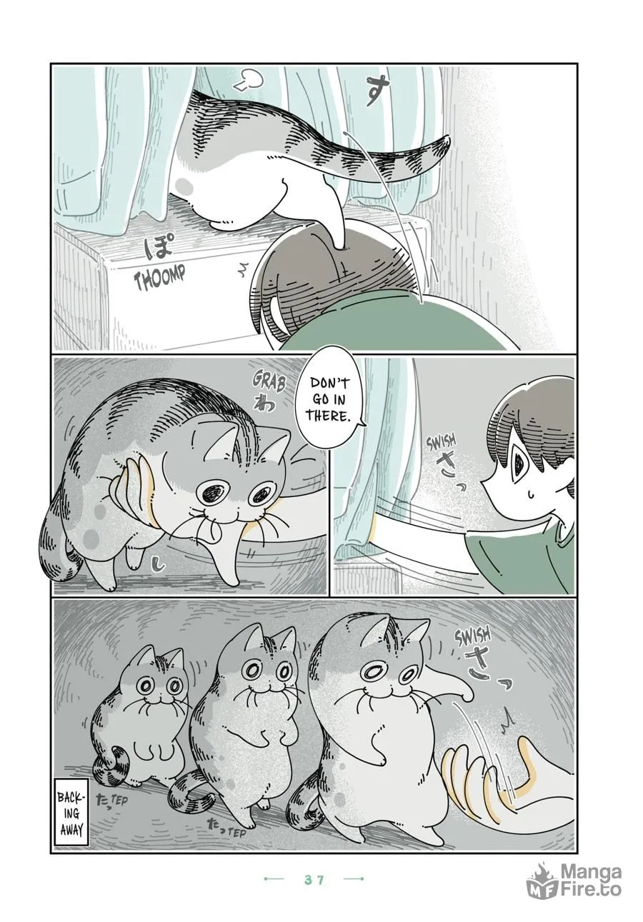 Nights With a Cat Chapter 26 page 15 - 