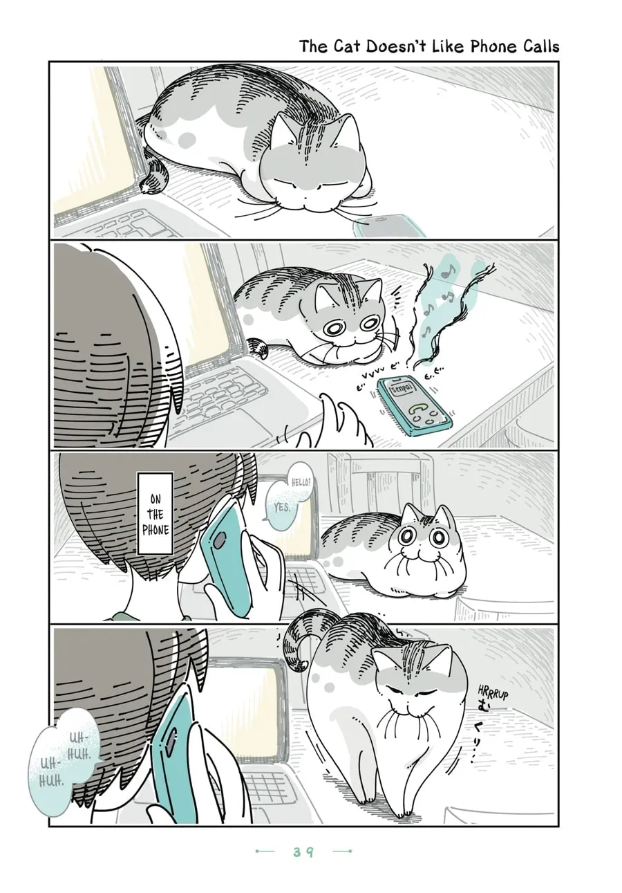Nights With a Cat Chapter 26 page 17 - 