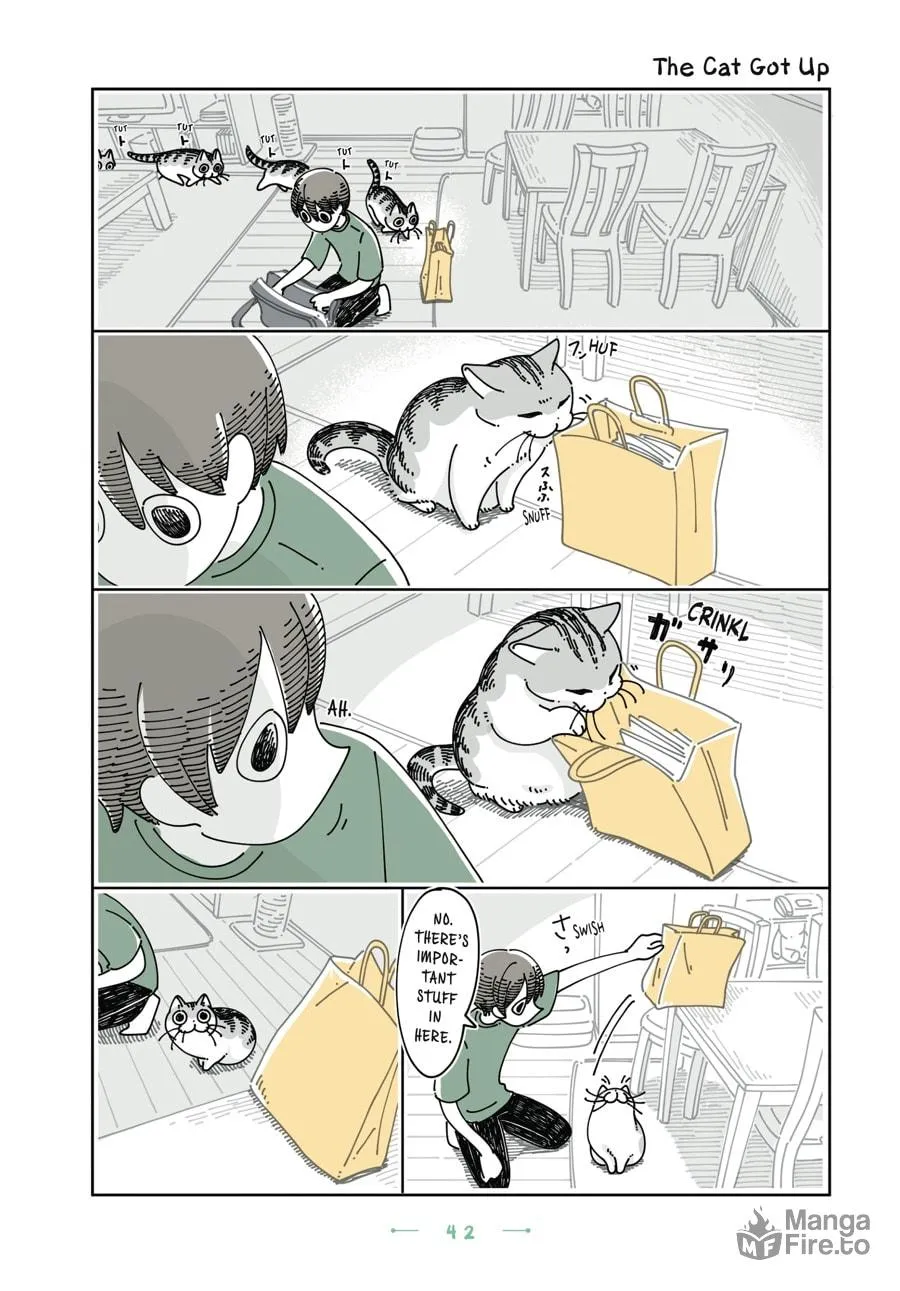Nights With a Cat Chapter 26 page 20 - 