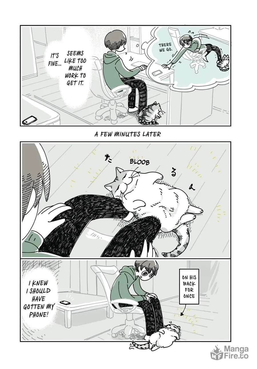 Nights With a Cat Chapter 26 page 3 - 