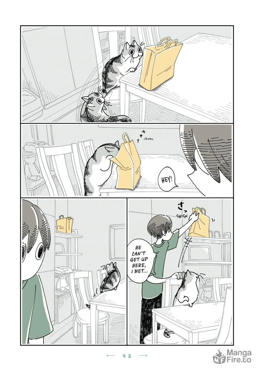 Nights With a Cat Chapter 26 page 21 - 
