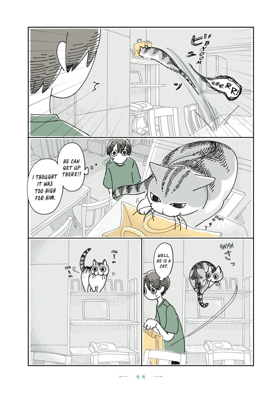 Nights With a Cat Chapter 26 page 22 - 