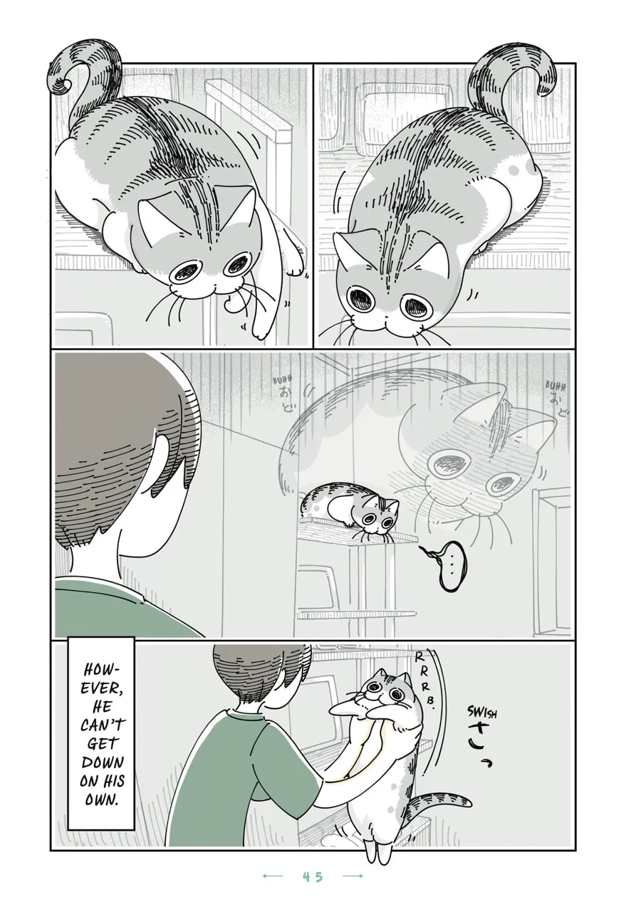 Nights With a Cat Chapter 26 page 23 - 