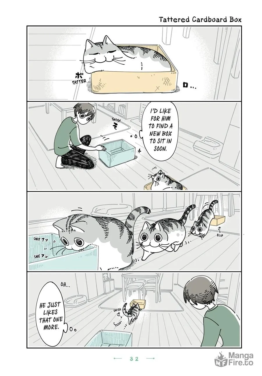 Nights With a Cat Chapter 26 page 10 - 
