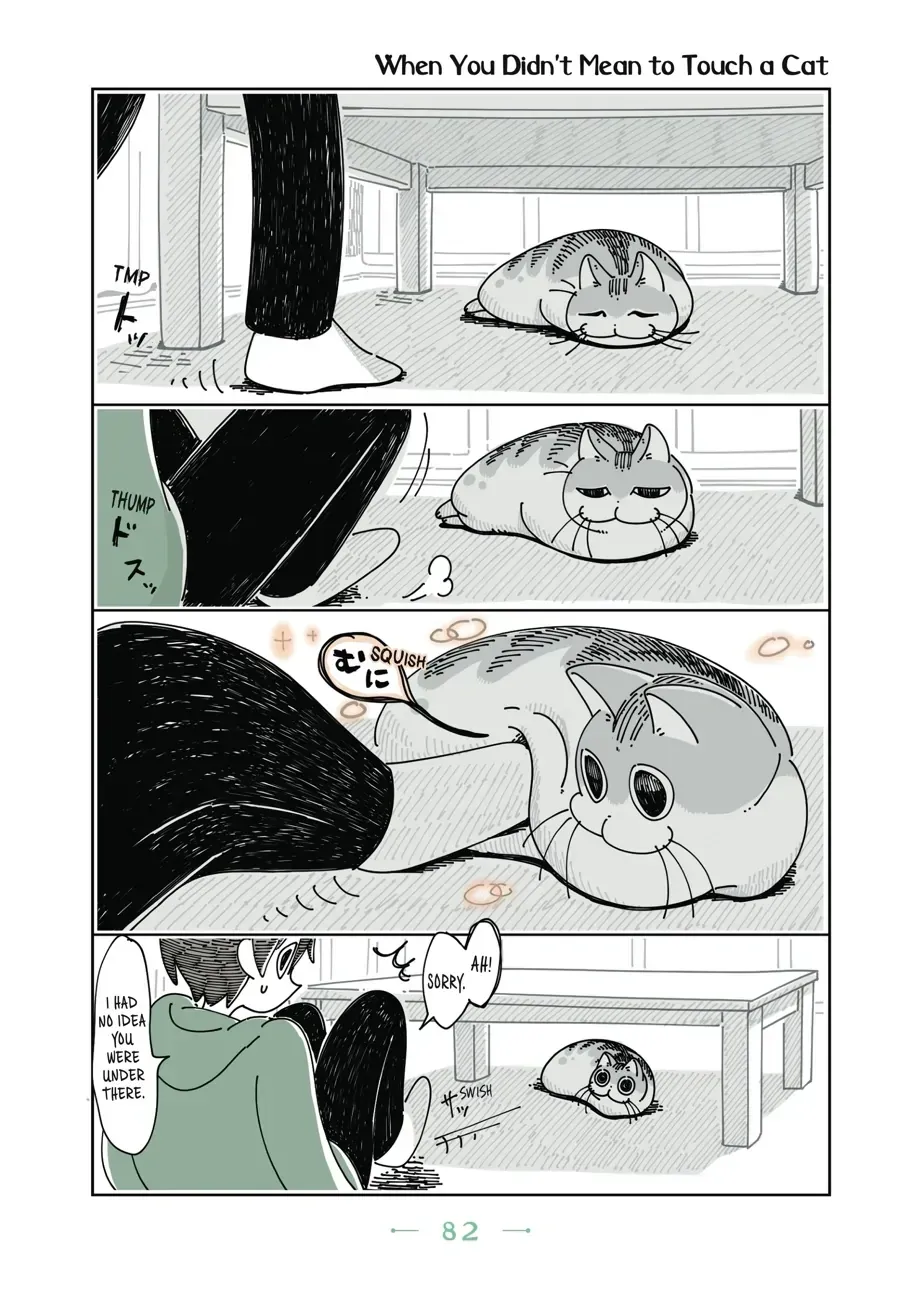 Nights With a Cat Chapter 27.1 page 1 - 