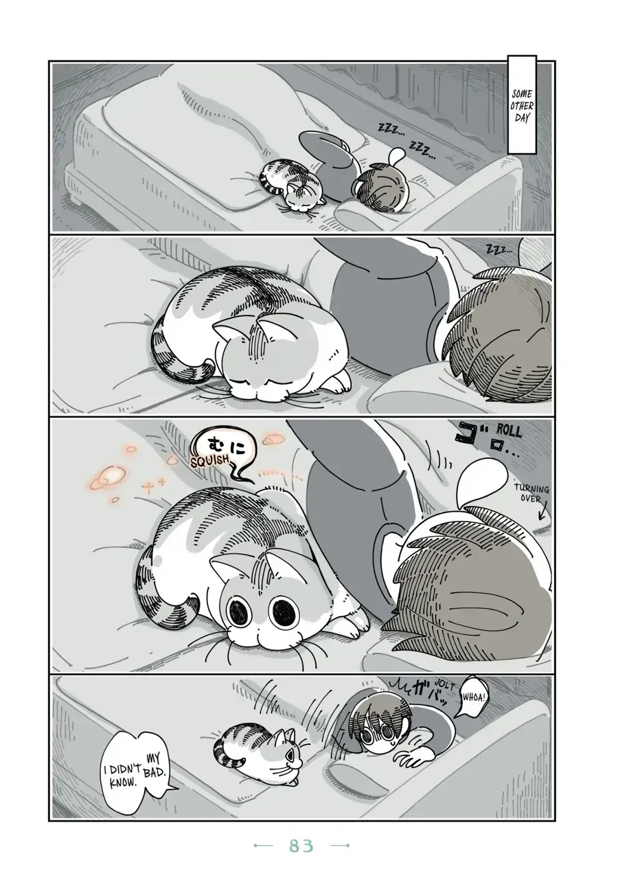 Nights With a Cat Chapter 27.1 page 2 - 