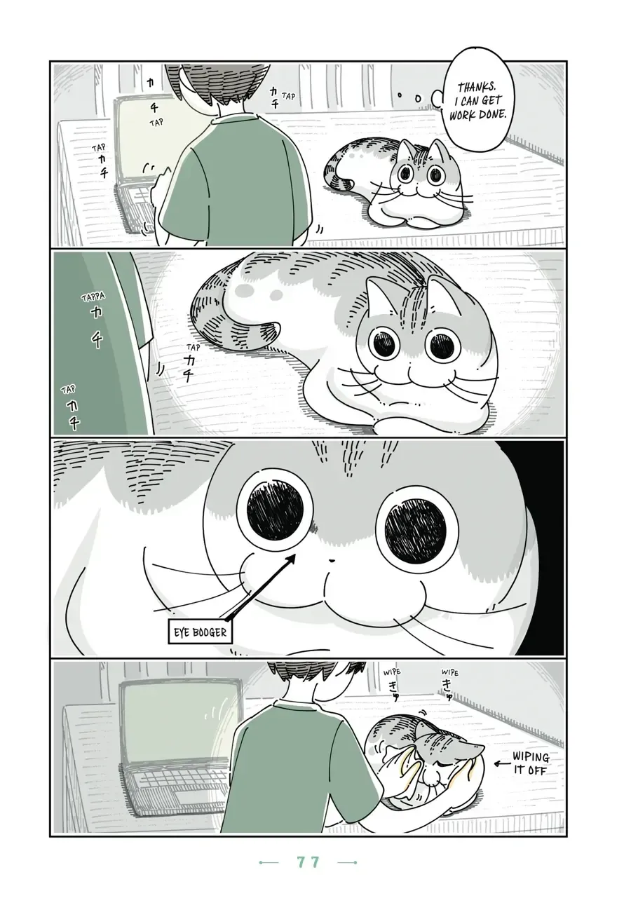 Nights With a Cat Chapter 27.2 page 2 - 