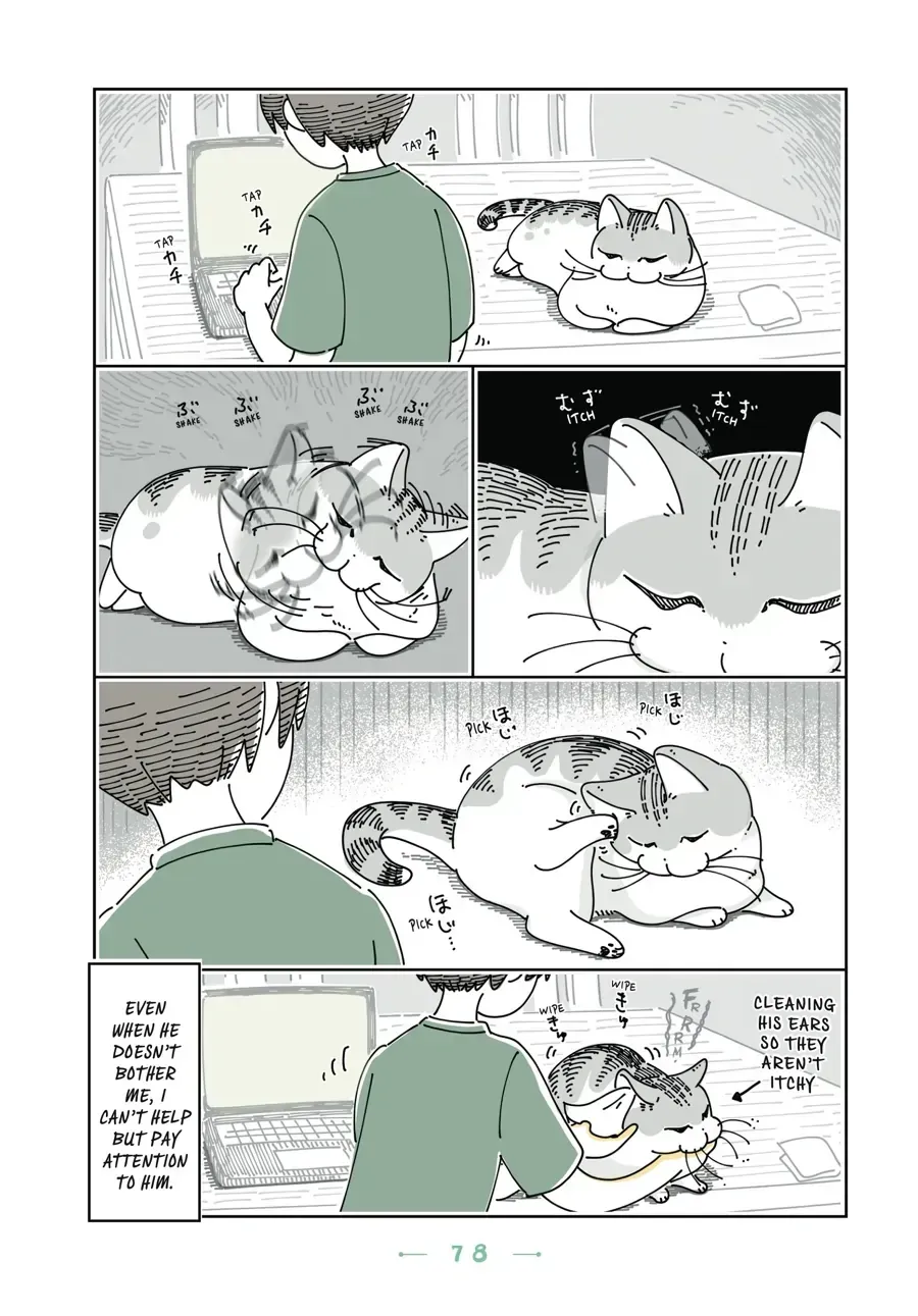 Nights With a Cat Chapter 27.2 page 3 - 