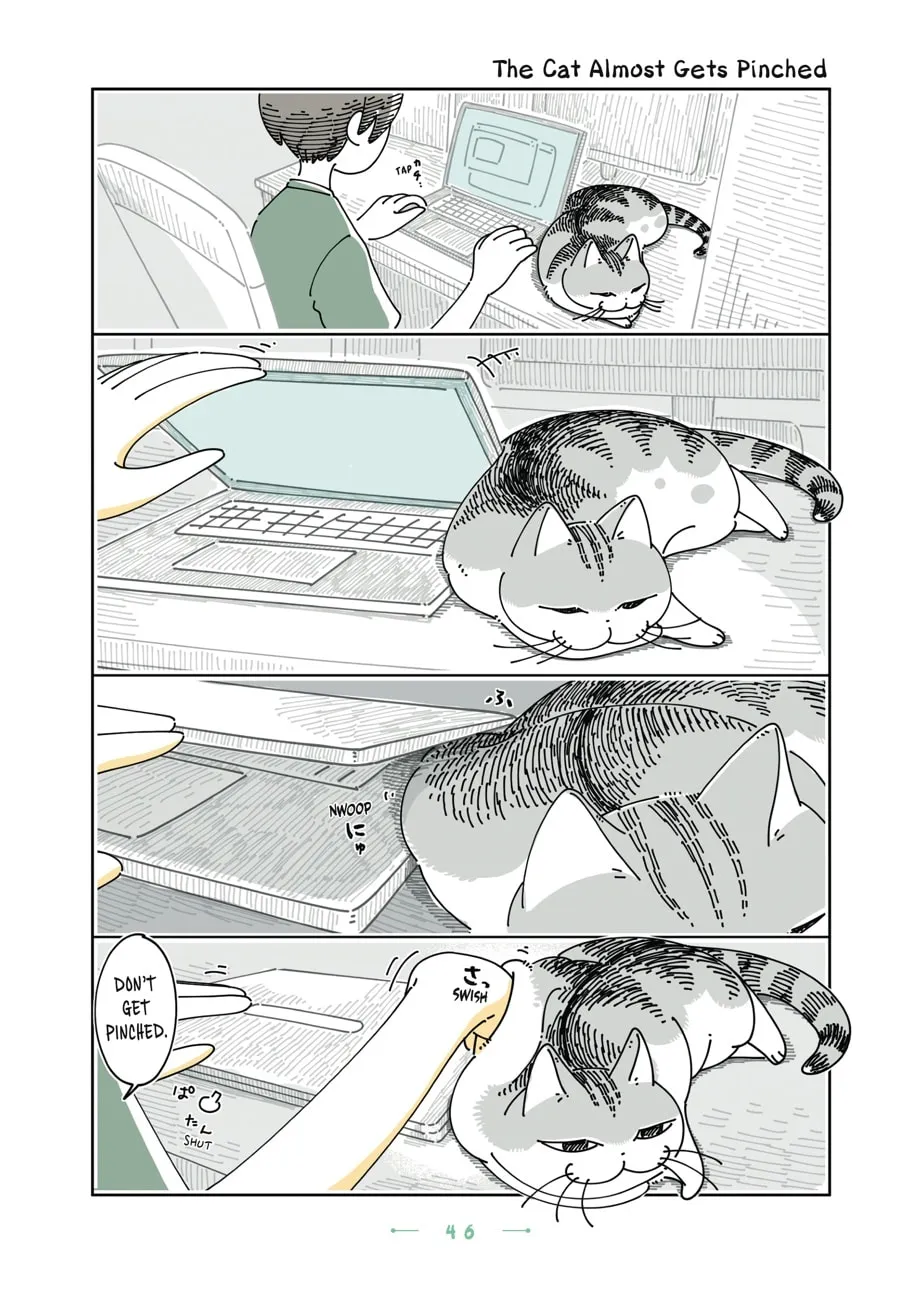Nights With a Cat Chapter 27 page 1 - 
