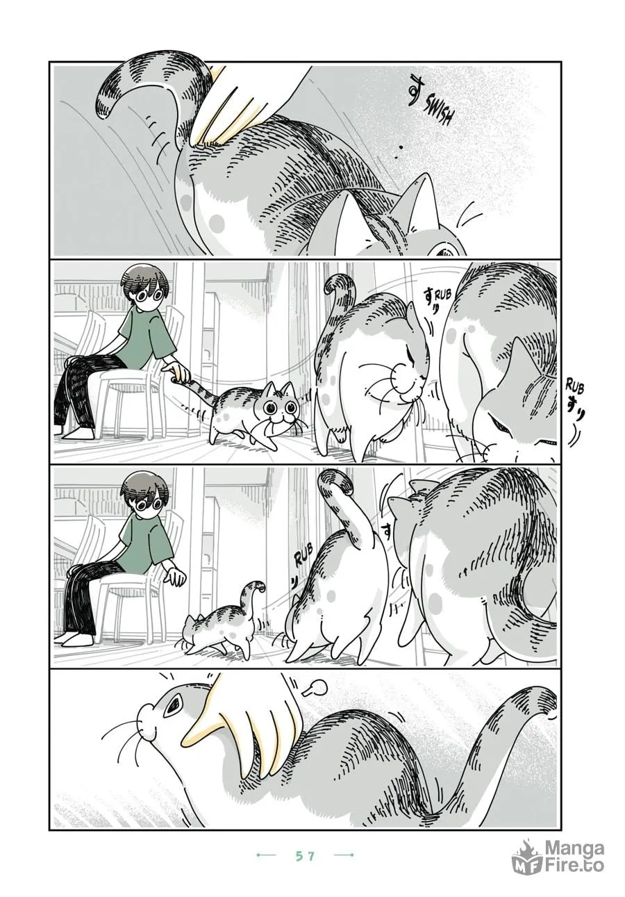 Nights With a Cat Chapter 27 page 12 - 