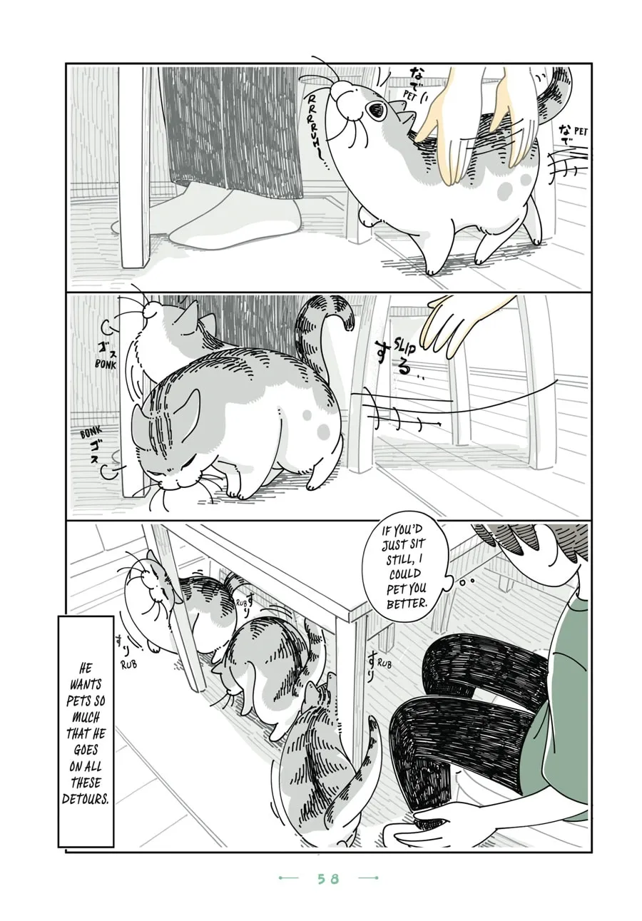 Nights With a Cat Chapter 27 page 13 - 