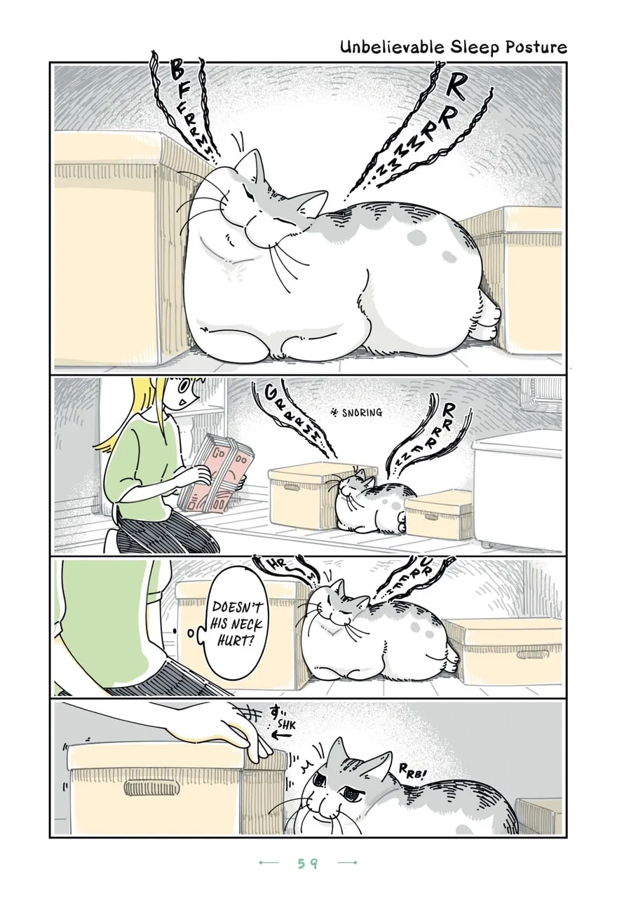 Nights With a Cat Chapter 27 page 14 - 