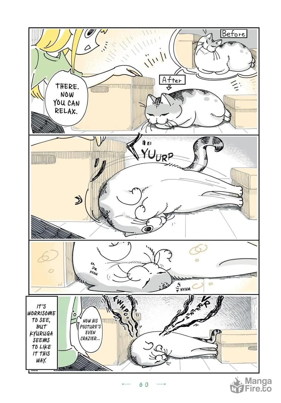 Nights With a Cat Chapter 27 page 15 - 