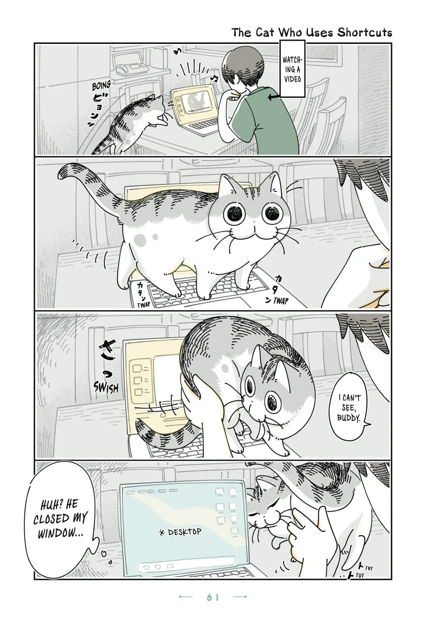Nights With a Cat Chapter 27 page 16 - 