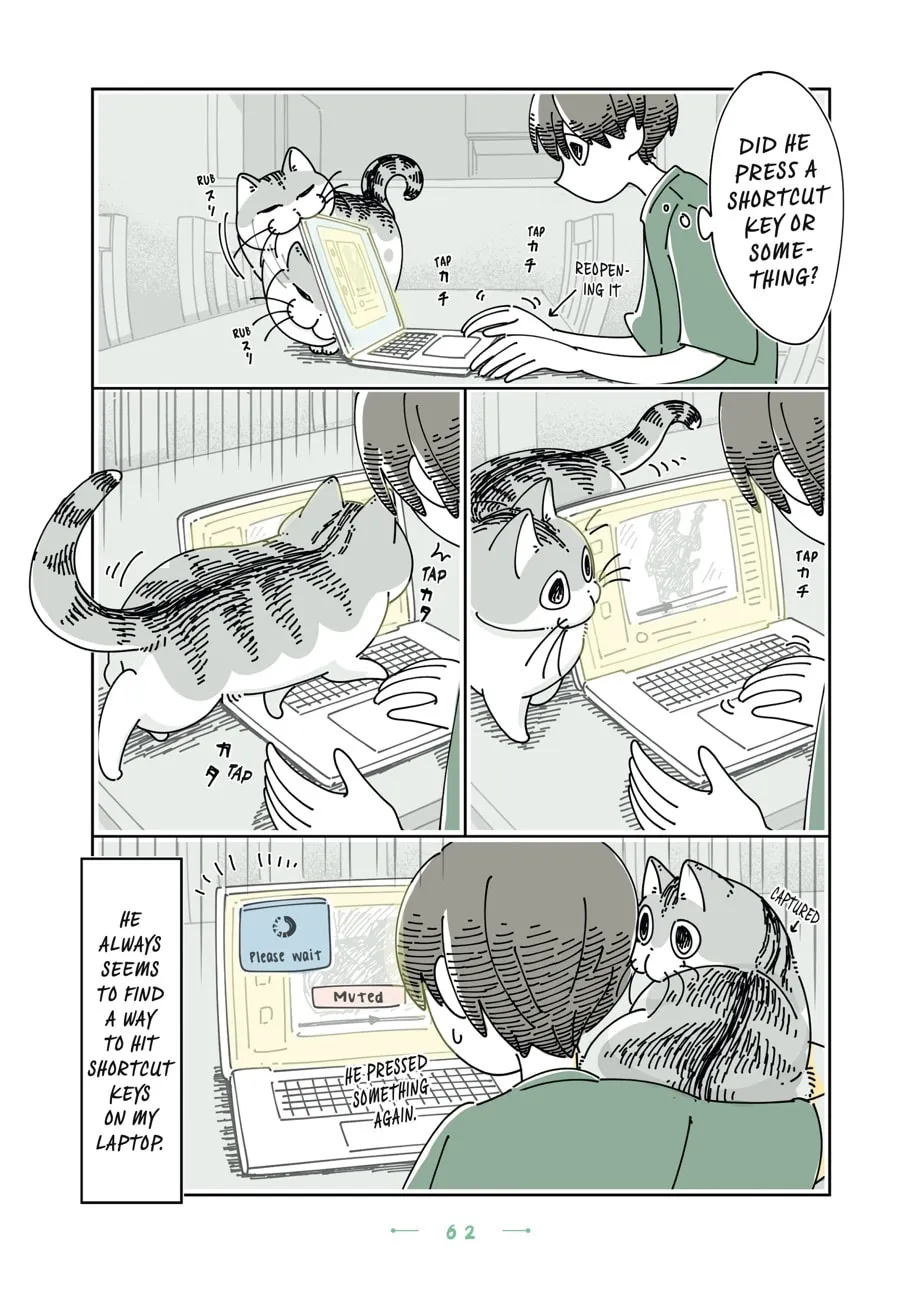 Nights With a Cat Chapter 27 page 17 - 