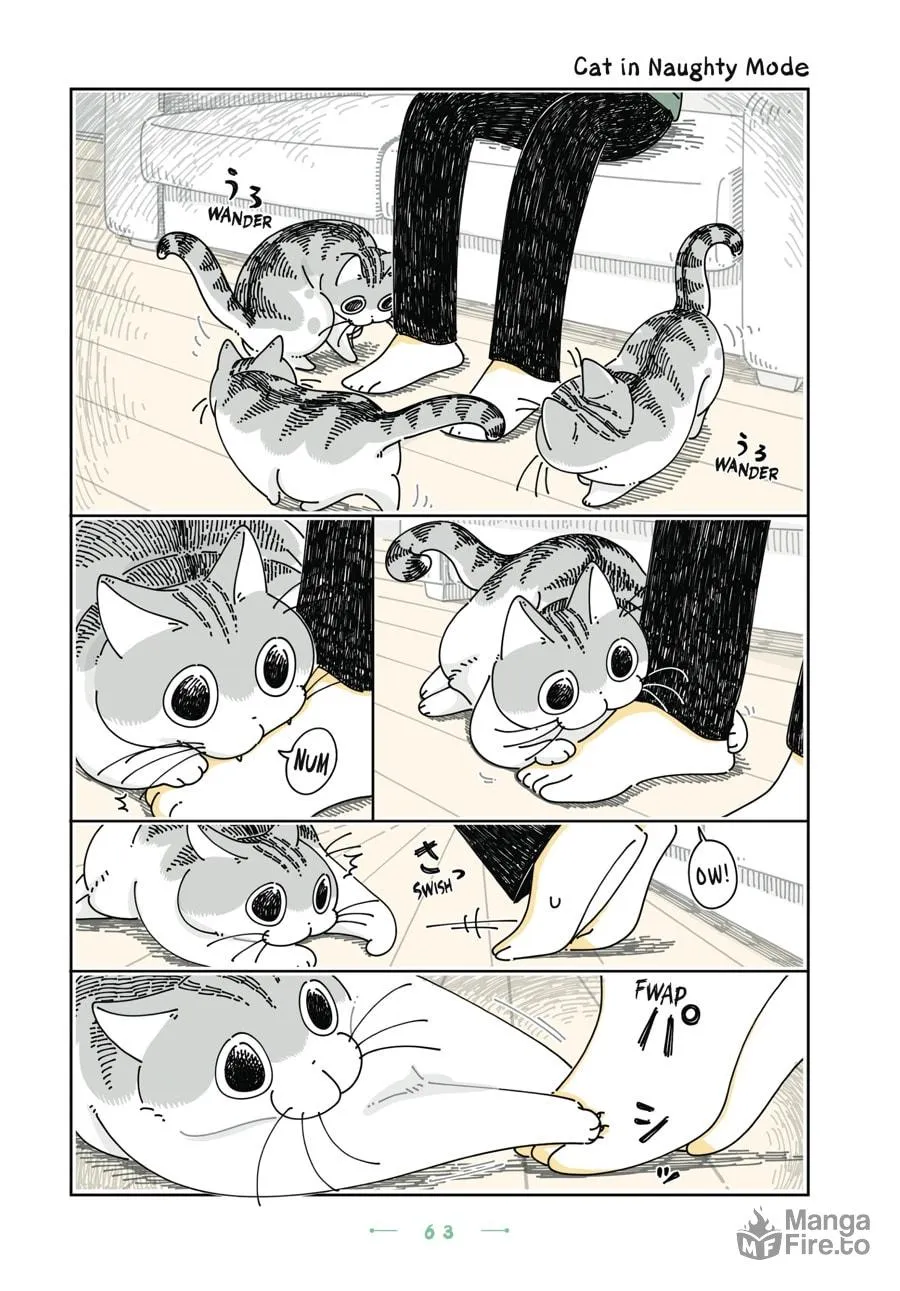 Nights With a Cat Chapter 27 page 18 - 