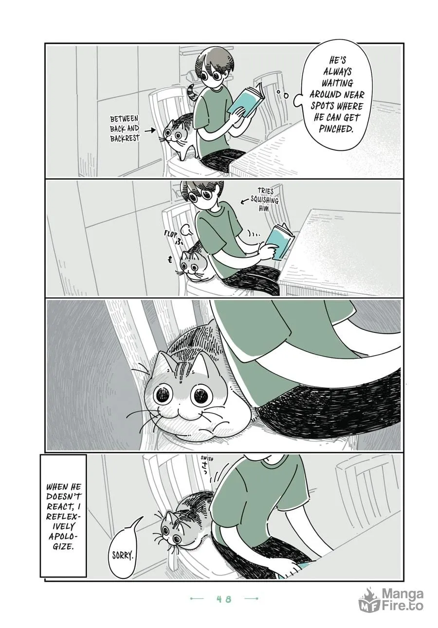 Nights With a Cat Chapter 27 page 3 - 