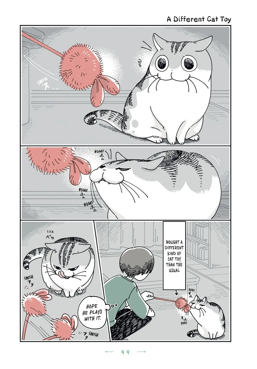 Nights With a Cat Chapter 27 page 4 - 