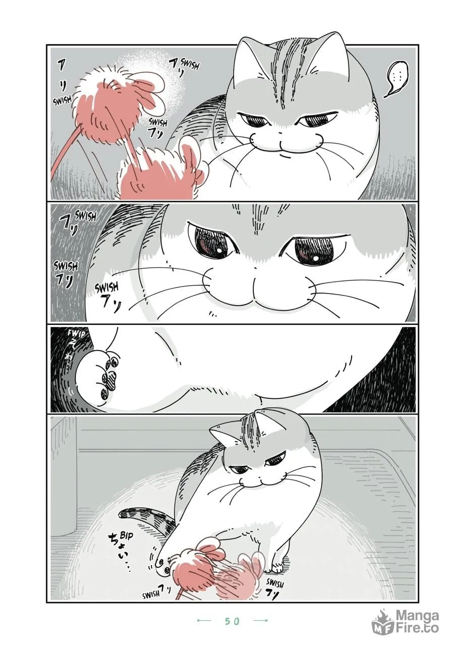 Nights With a Cat Chapter 27 page 5 - 