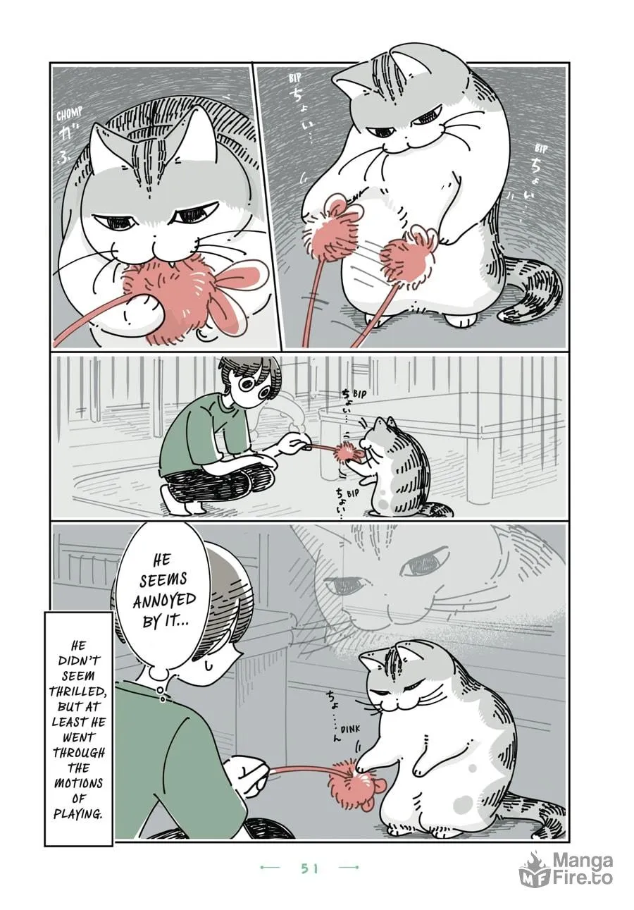 Nights With a Cat Chapter 27 page 6 - 