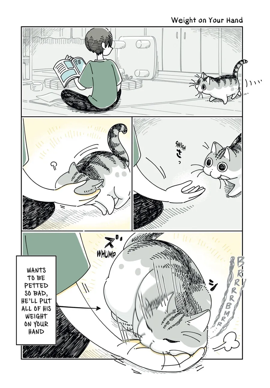 Nights With a Cat Chapter 28 page 1 - 