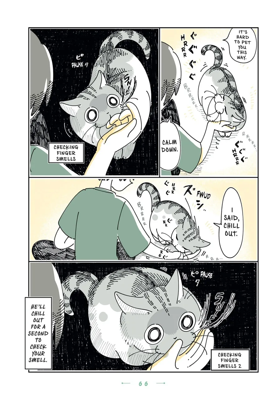 Nights With a Cat Chapter 28 page 2 - 