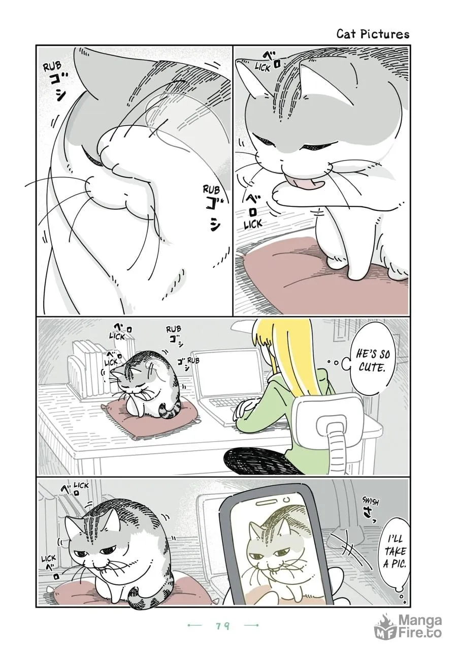 Nights With a Cat Chapter 28 page 15 - 