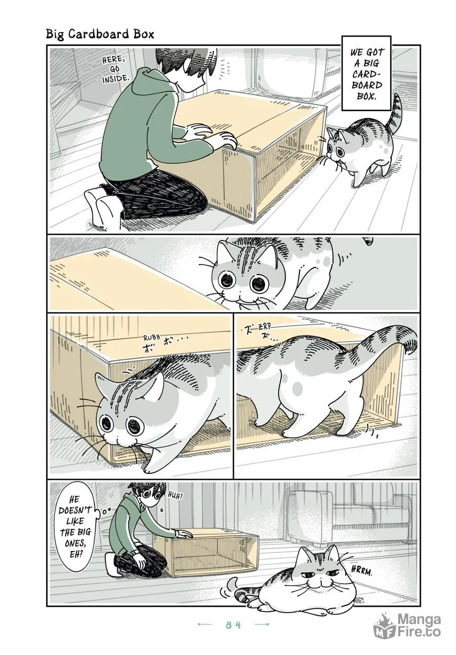 Nights With a Cat Chapter 28 page 20 - 