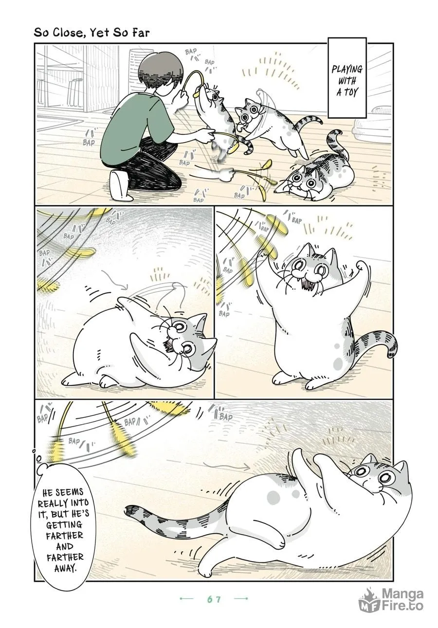 Nights With a Cat Chapter 28 page 3 - 