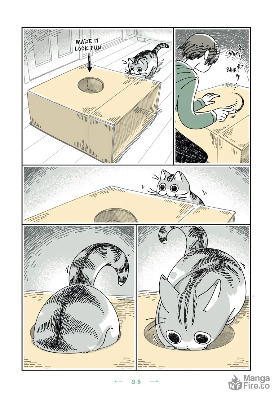 Nights With a Cat Chapter 28 page 21 - 