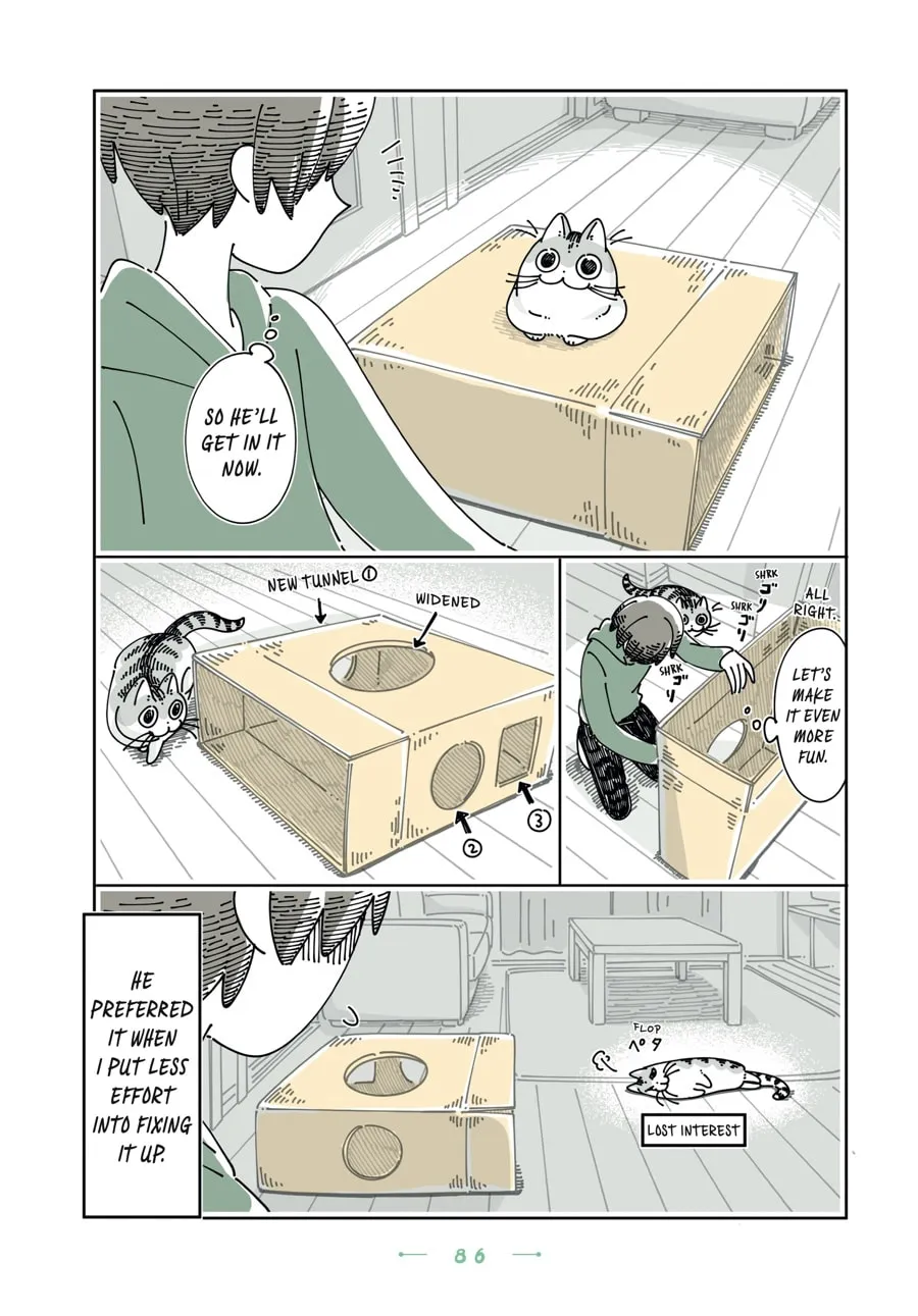 Nights With a Cat Chapter 28 page 22 - 
