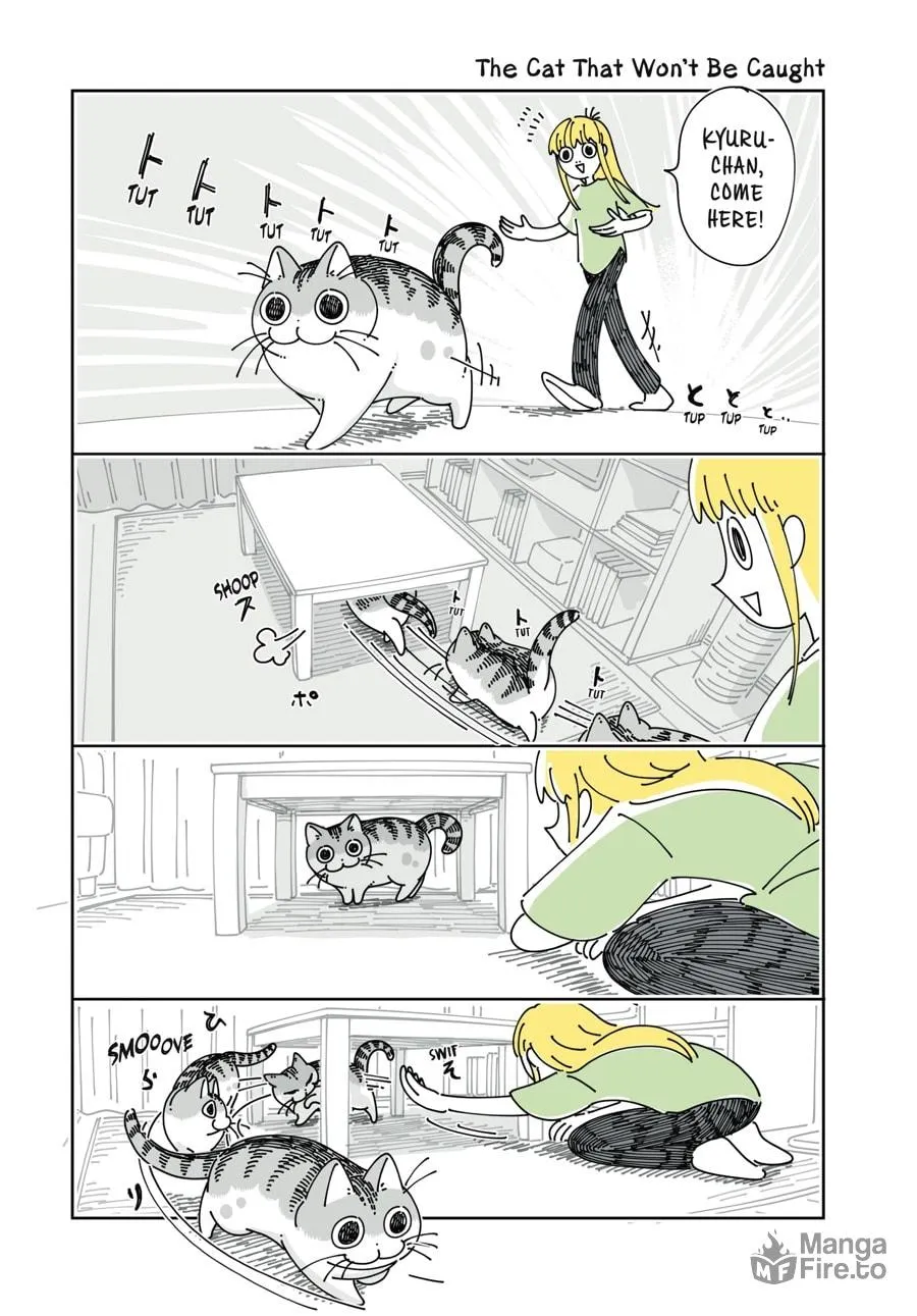 Nights With a Cat Chapter 28 page 5 - 
