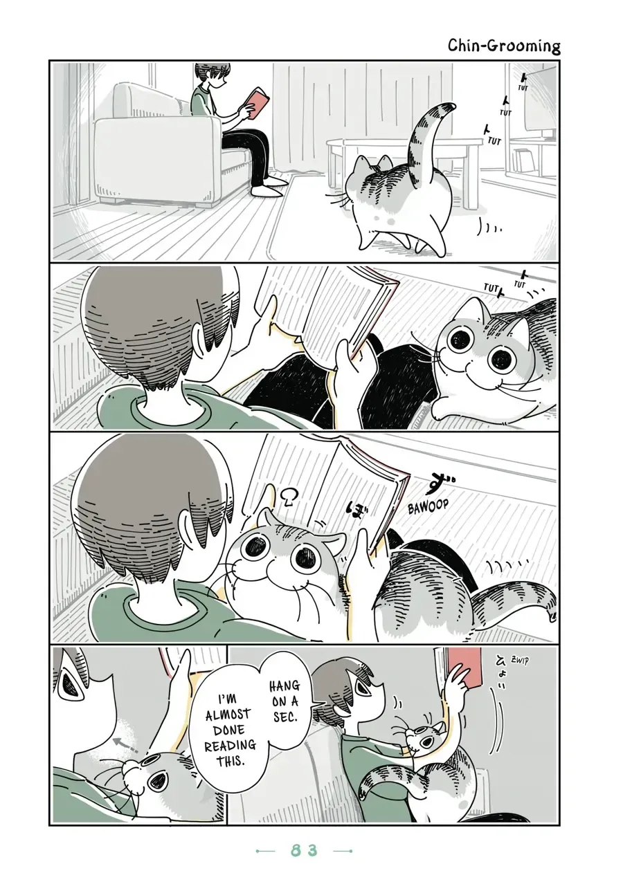 Nights With a Cat Chapter 29.1 page 1 - 