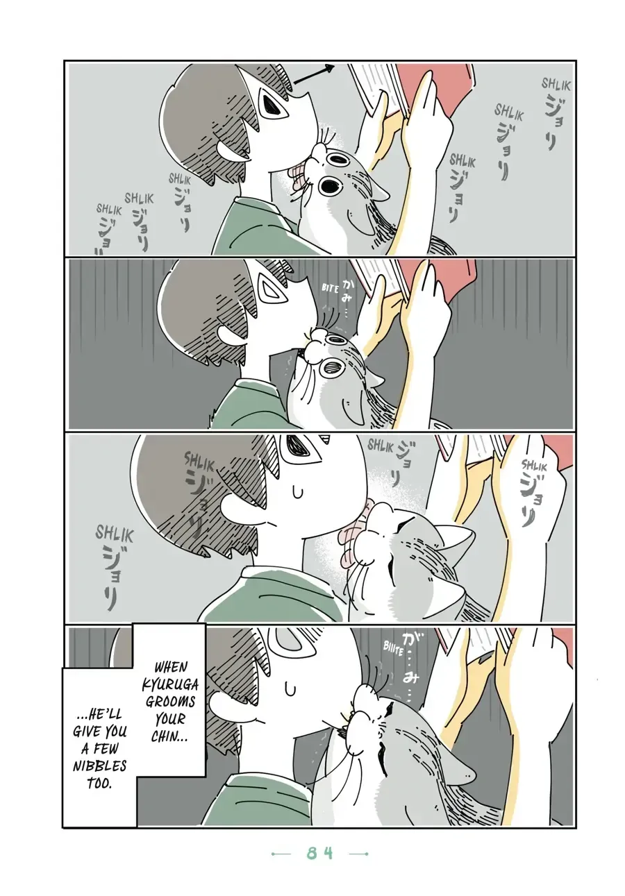 Nights With a Cat Chapter 29.1 page 2 - 