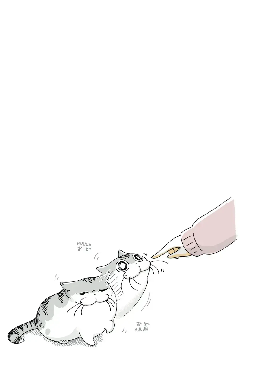 Nights With a Cat Chapter 29.1 page 3 - 