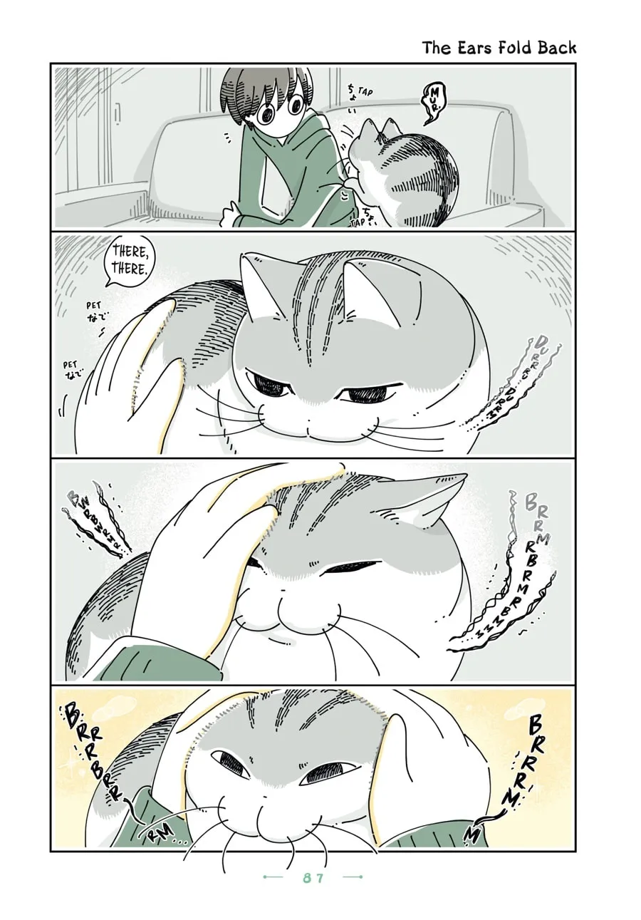 Nights With a Cat Chapter 29 page 1 - 