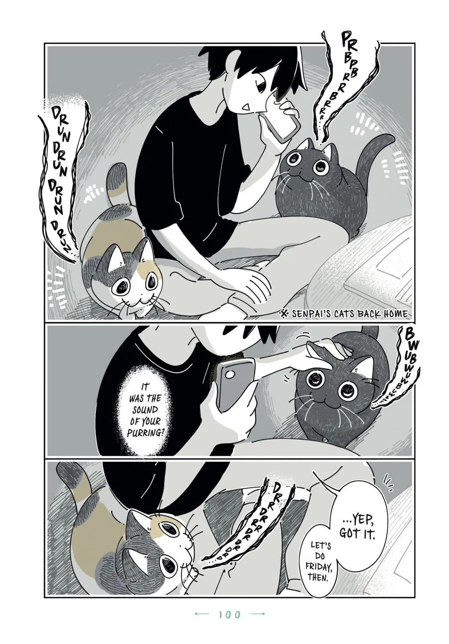 Nights With a Cat Chapter 29 page 14 - 