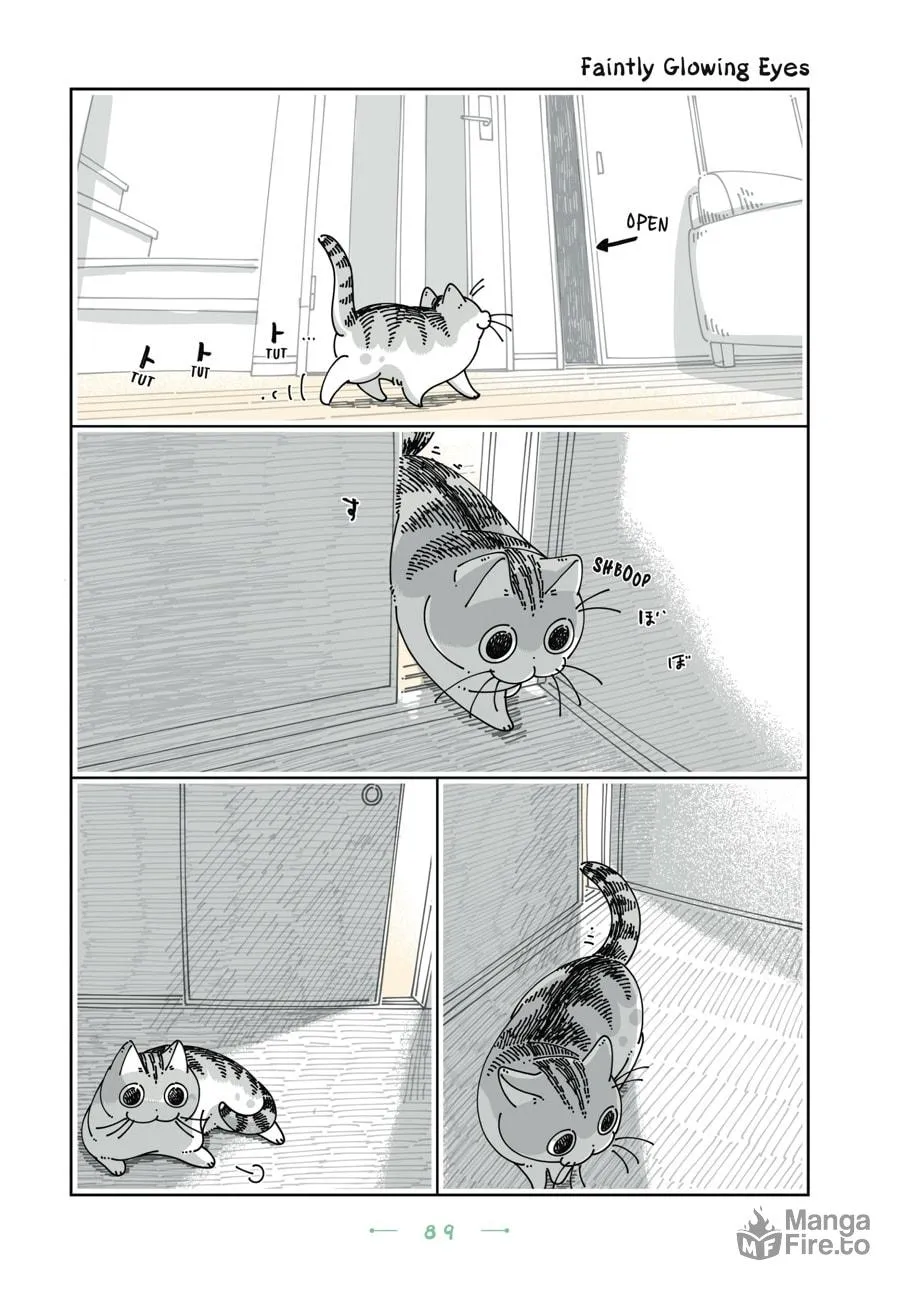 Nights With a Cat Chapter 29 page 3 - 