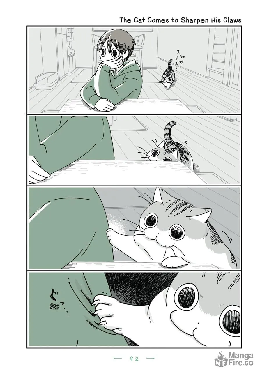 Nights With a Cat Chapter 29 page 6 - 