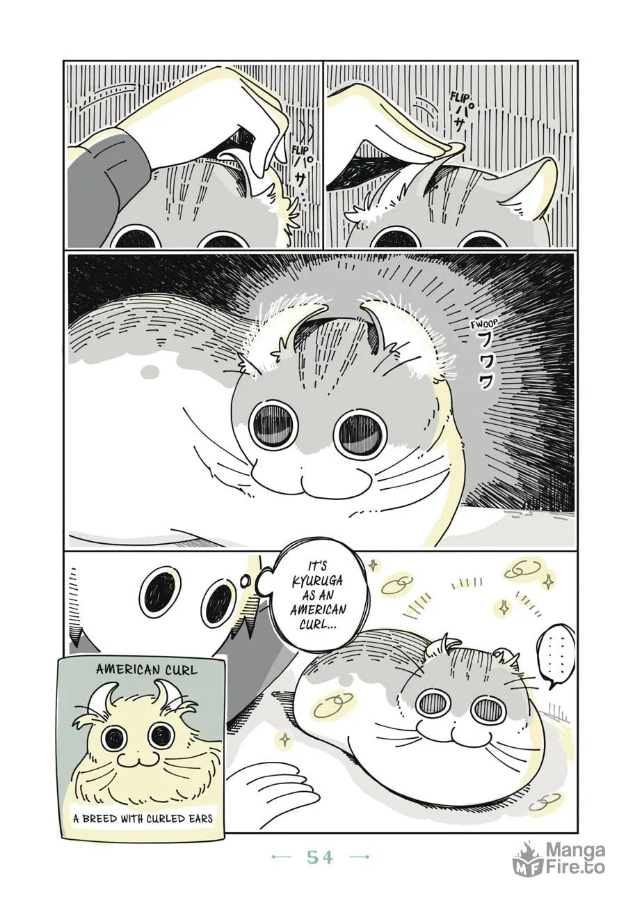 Nights With a Cat Chapter 3 page 12 - 