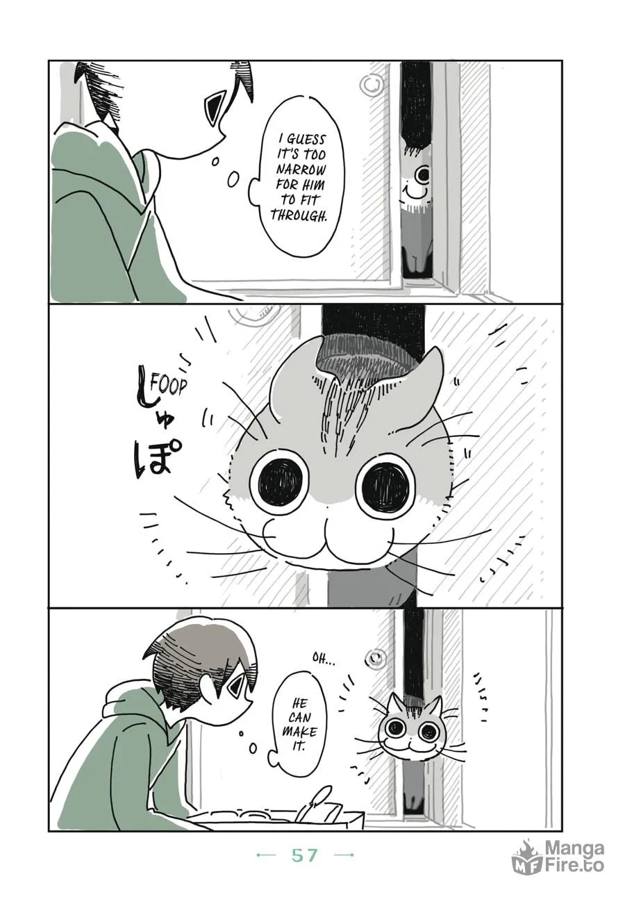 Nights With a Cat Chapter 3 page 15 - 