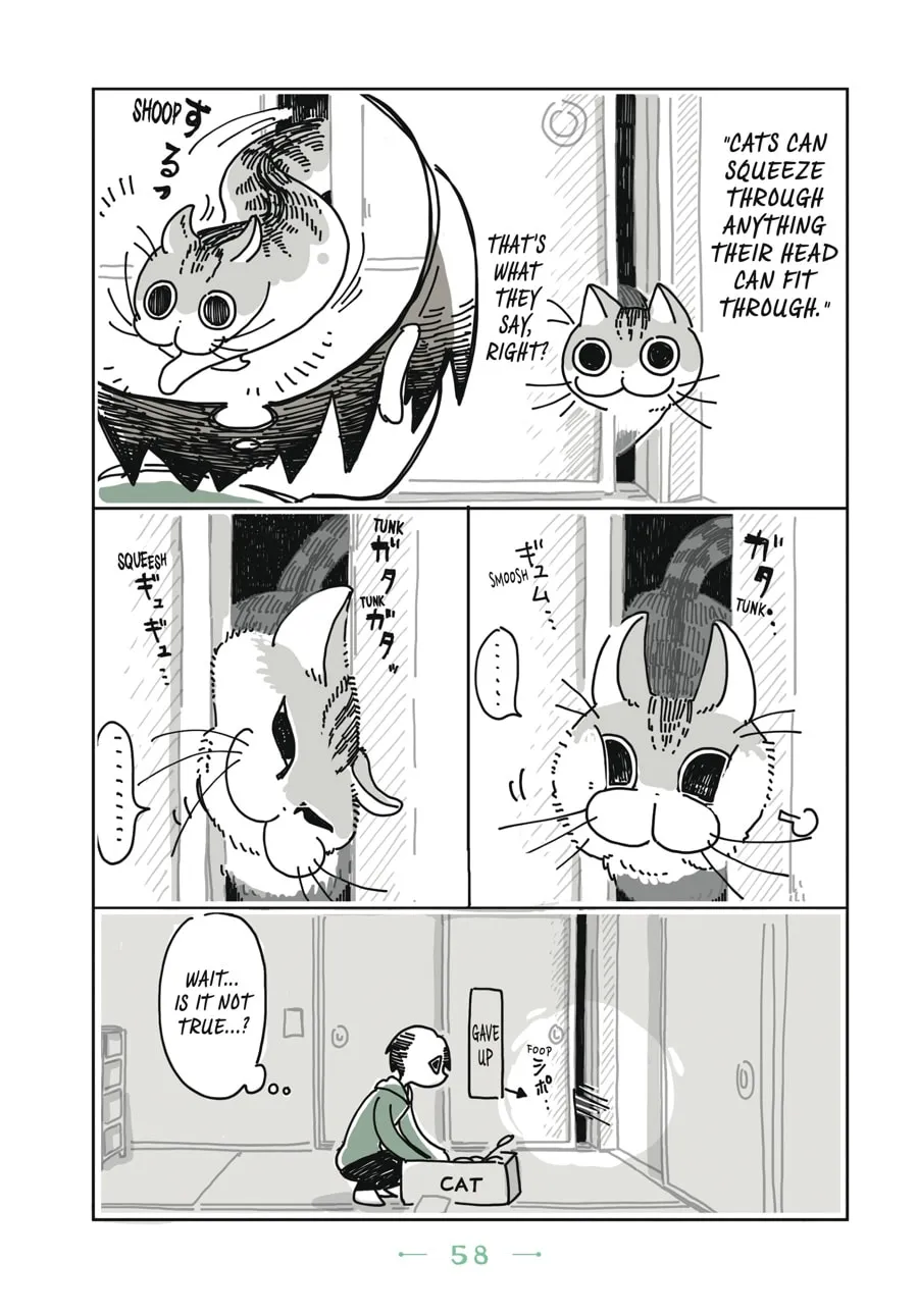 Nights With a Cat Chapter 3 page 16 - 