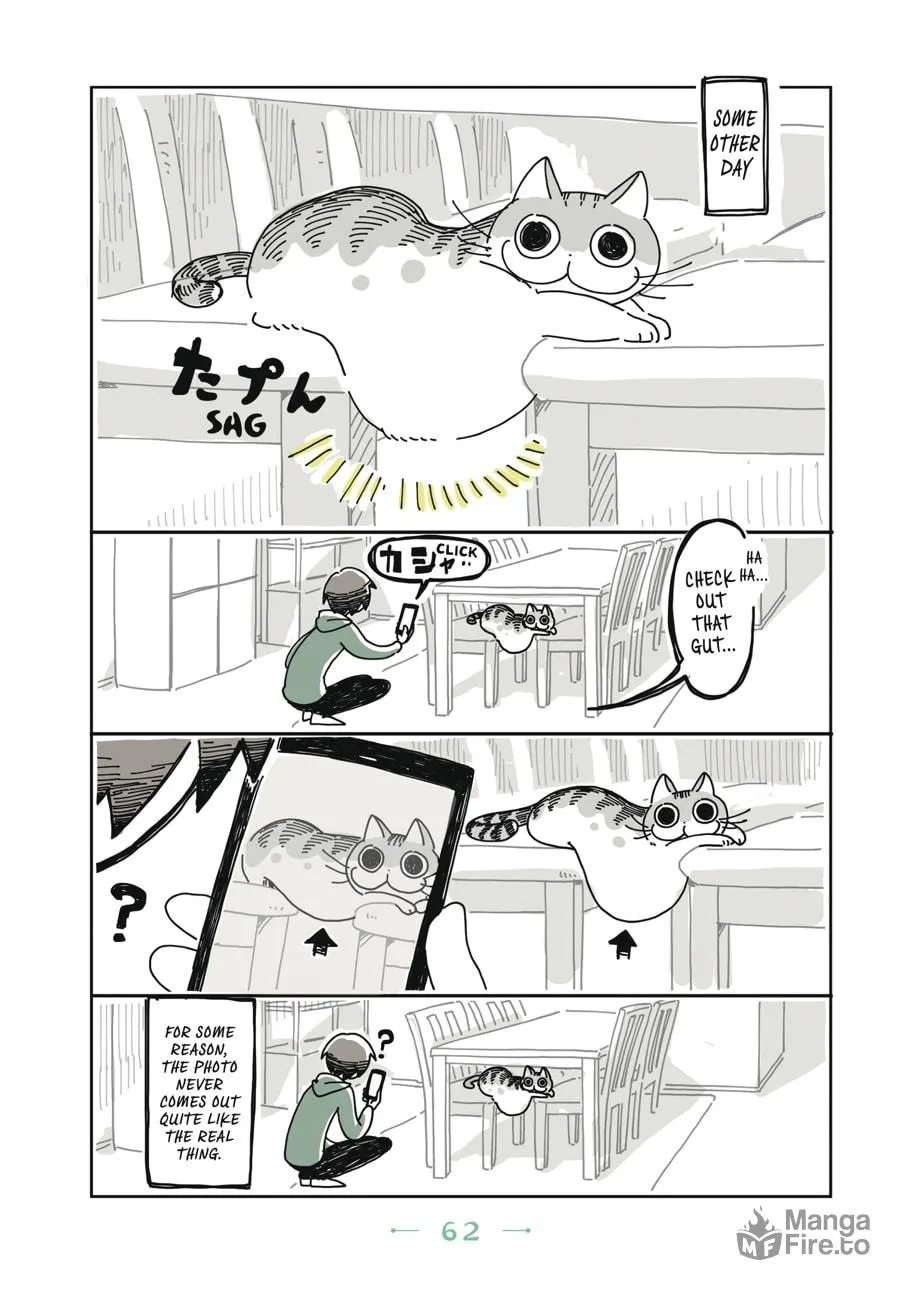Nights With a Cat Chapter 3 page 20 - 