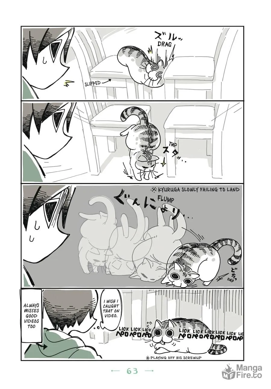 Nights With a Cat Chapter 3 page 21 - 