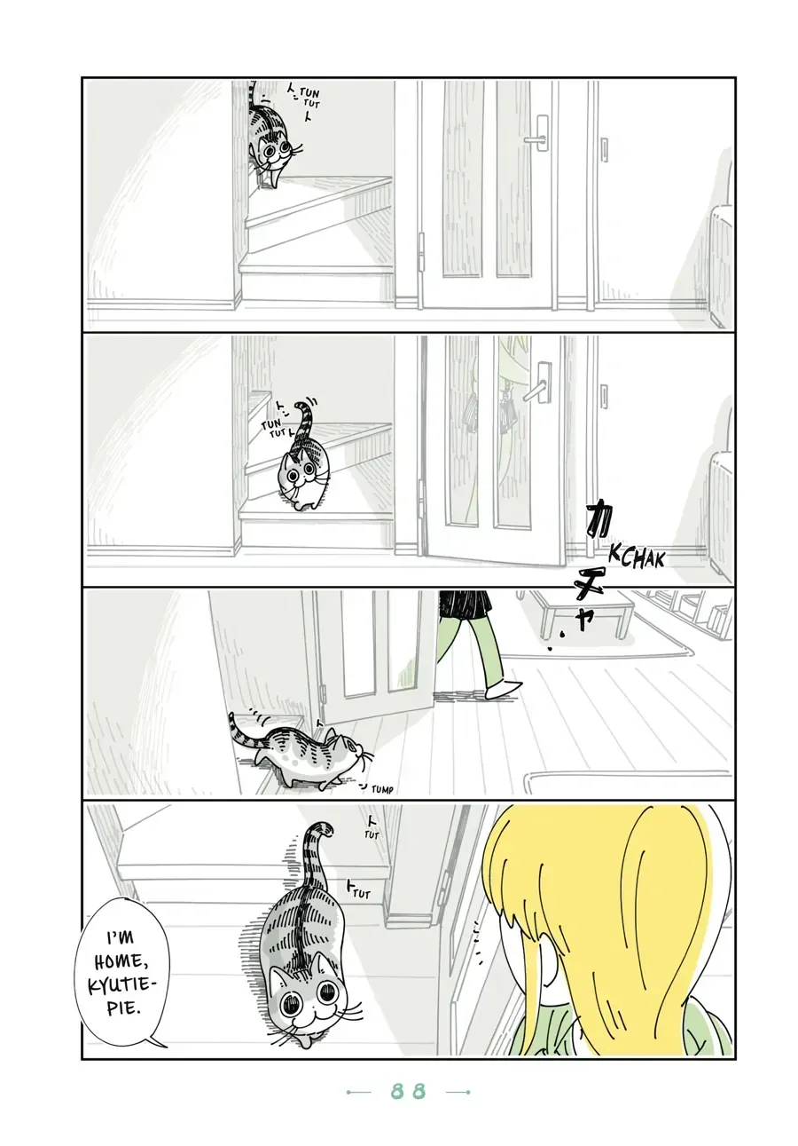Nights With a Cat Chapter 30.1 page 2 - 