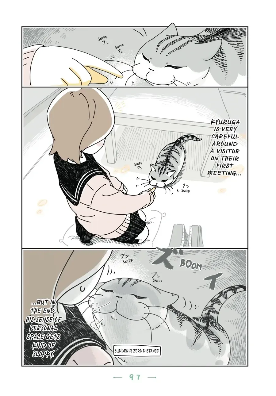 Nights With a Cat Chapter 30.1 page 11 - 