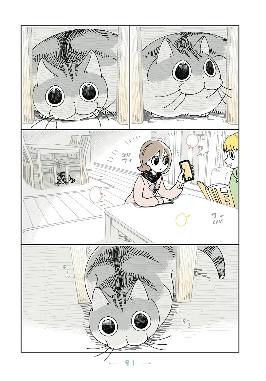 Nights With a Cat Chapter 30.1 page 5 - 