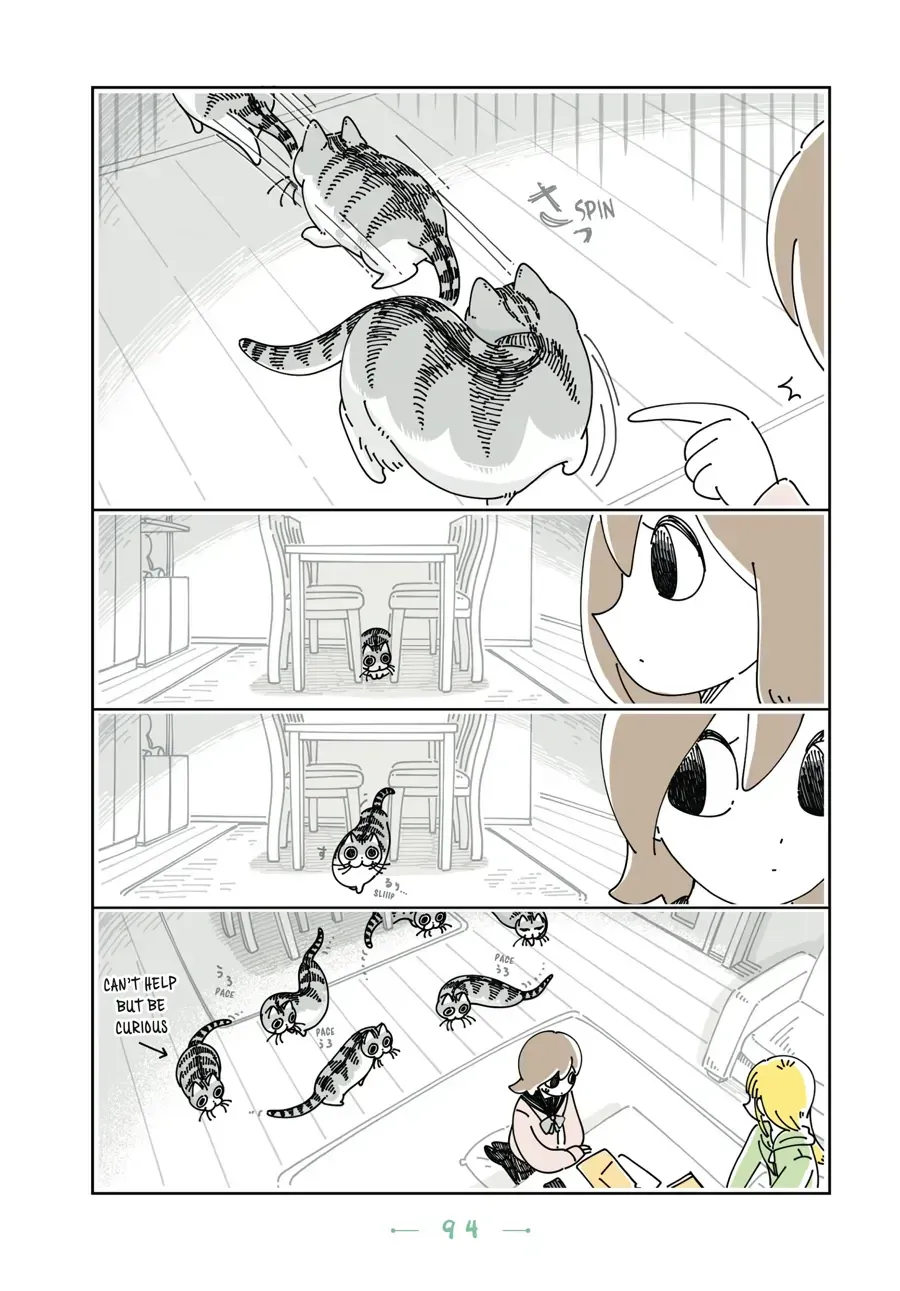 Nights With a Cat Chapter 30.1 page 8 - 