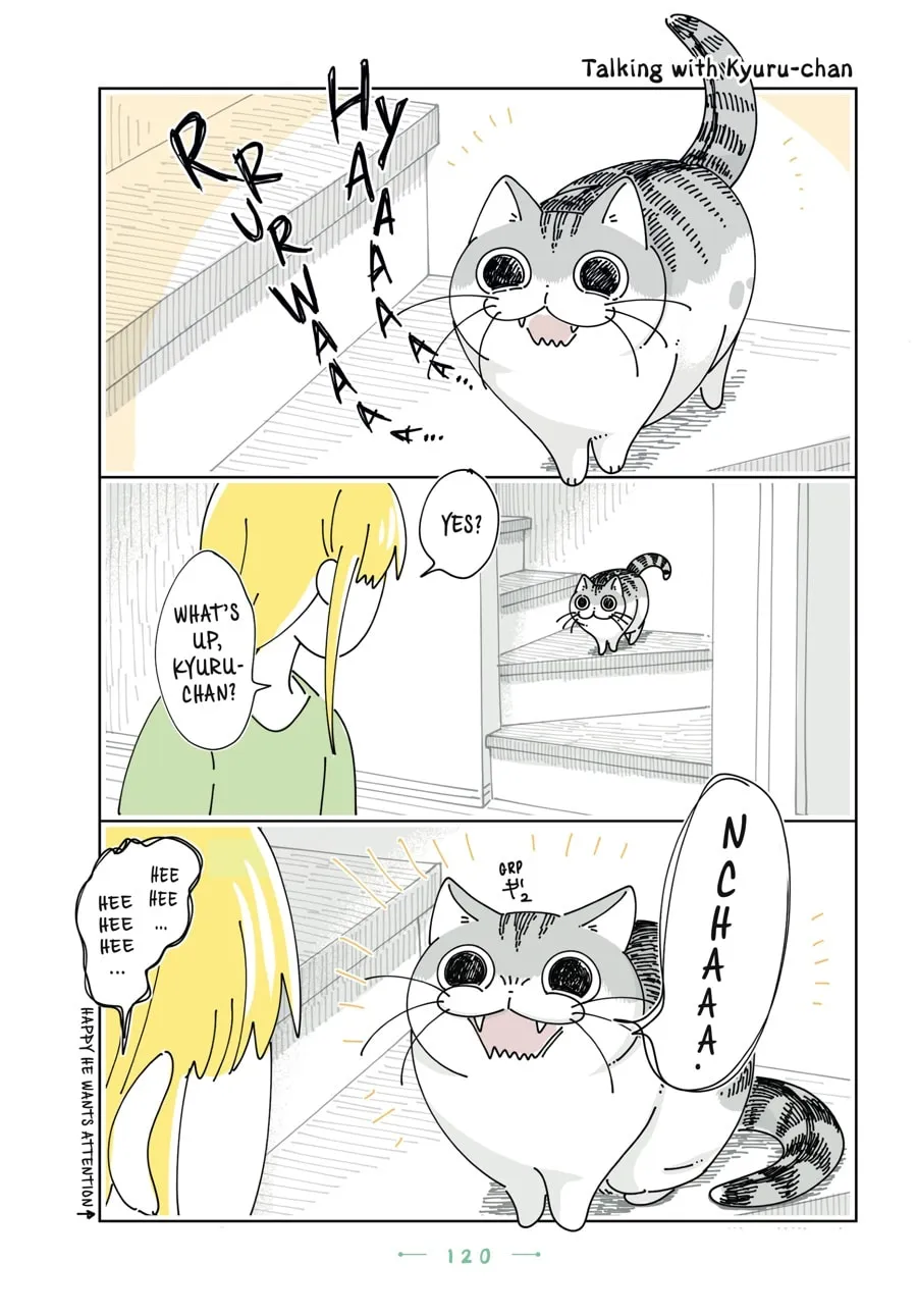 Nights With a Cat Chapter 30 page 16 - 